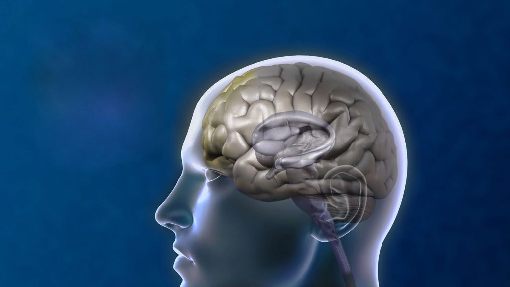 How Transcranial Magnetic Stimulation Therapy Can Help Ease Anxiety Symptoms